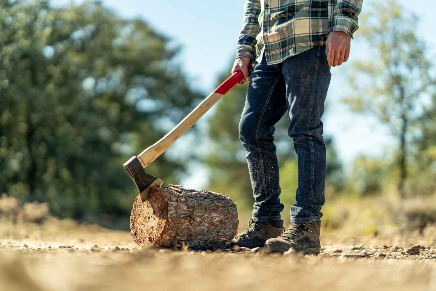 Residential Tree Removal